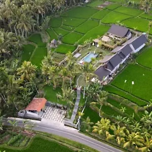 Coconut , Ubud Indonesia