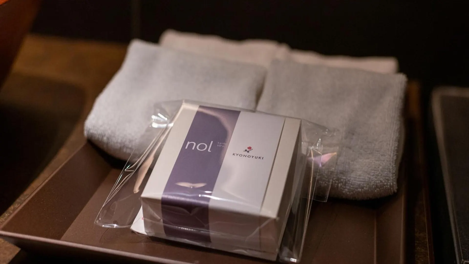 Nol Kyoto Sanjo Hotel